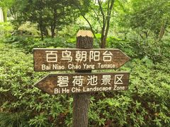 -汇龙潭