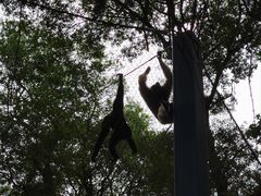 -红山森林动物园
