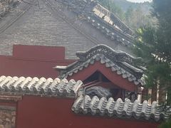 -泰山风景名胜区-普照寺