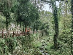 -素山寺森林公园