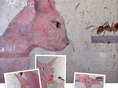 -宝龙艺术中心(七宝宝龙城店)