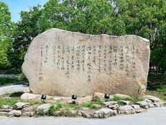 -溱湖国家湿地公园