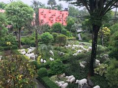 -东芭乐园