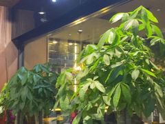 门面-雨薇餐厅·陕菜传承(北大街店)