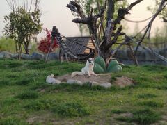 -祥源·阜阳生态乐园