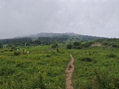 -灵山