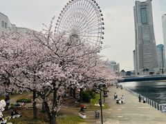 -横滨地标大厦