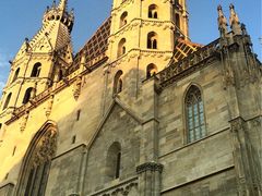 iphone_upload_pic-斯蒂芬主教座堂(Stephansdom)