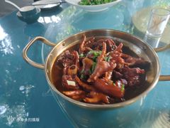 -张鸟园农家乐(张鸟园店)
