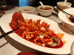 -醉庐·新上海菜(南京西路店)