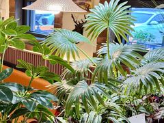 -树下时尚餐厅(翠园街店)