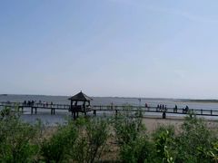-呼兰河口湿地公园