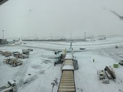 -蒙特利尔皮埃尔·埃利奥特·特鲁多国际机场