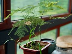 -云座·时光·观景咖啡厅(五爷庙店)