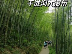 -千泷沟大瀑布旅游区
