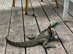 -可伦宾野生动物保护区