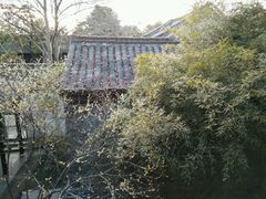 -梅园