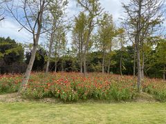 -逸林轩中餐厅(中信泰富朱家角锦江酒店)