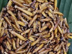 -银生食府·普洱菜(金星店)