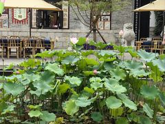 -百花洲