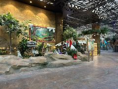 -杭州开元森泊度假乐园