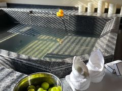 -春晖园度假酒店温泉