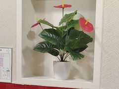 -芦月轩羊蝎子(北蜂窝店)