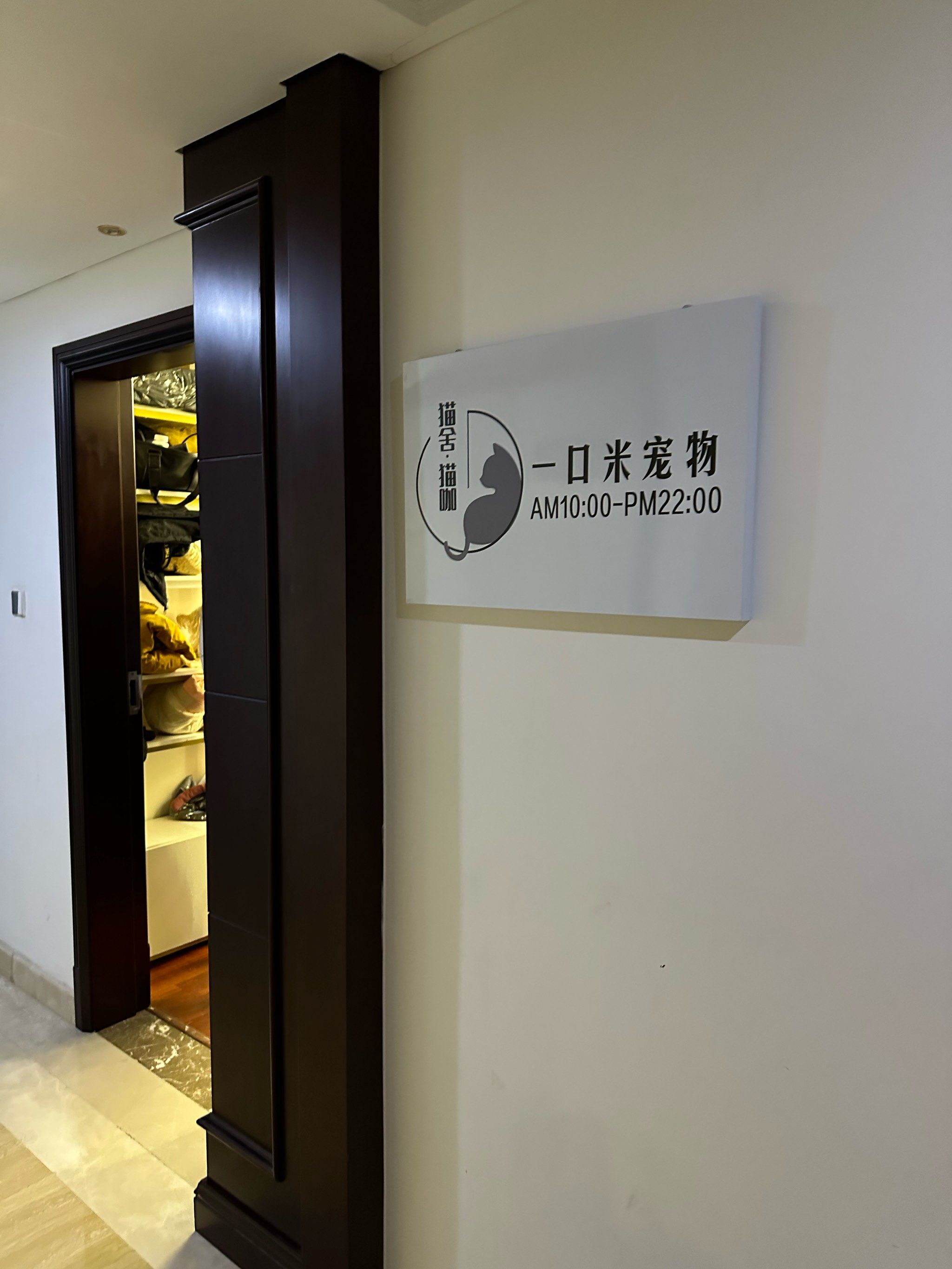 小猫室内悠闲时光