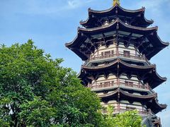 -洋湖国家湿地公园