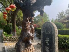 -大槐树寻根祭祖园