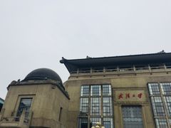 -武汉大学-樱园