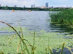 -长春市南湖公园