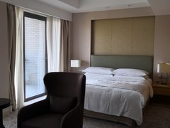 -佛山岭南天地康得思酒店