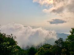 -梧桐山风景名胜区