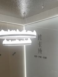 -杜卡诗salon