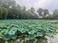 -中国农业博物馆