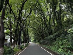 -宁波市保国寺古建筑博物馆