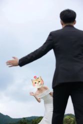 -CD视觉婚纱摄影