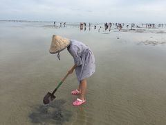 -北海金海湾红树林生态旅游区