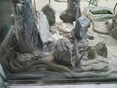-荔城生鲜盛宴(番禺旗舰店)