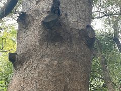 -北陵公园