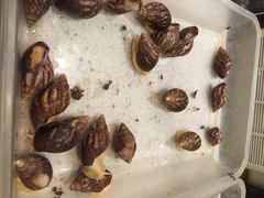 iphone_upload_pic-皇宫大酒店