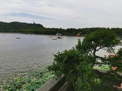 -湖畔居茶楼(湖滨店)