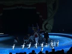 -珠海横琴长隆《卡卡虎奇遇记》