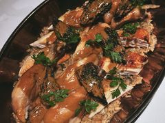-Oyster Talks 四度蚝法餐厅