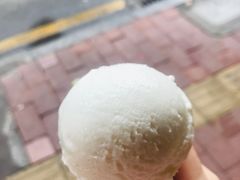 椰子雪糕-顺记冰室(宝华路店)