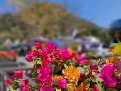 -云洞岩风景区
