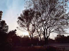 -盘龙城国家考古遗址公园