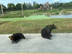 -上海野生动物园