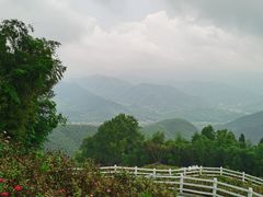 -莫干山风景区